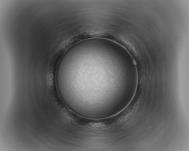 X0000116340689200912091110