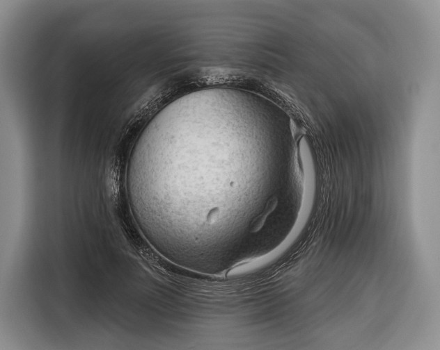 X0000116340691200912091110