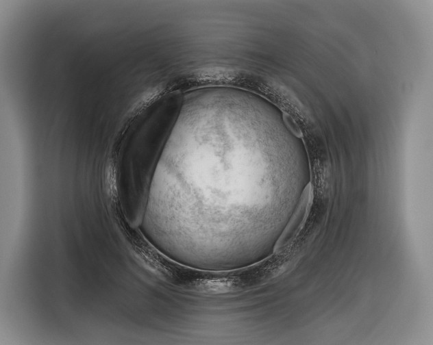 X0000116340692200912091110