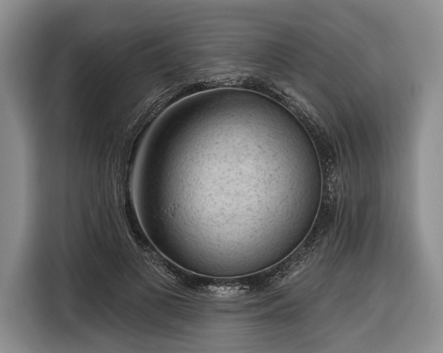 X0000116340693200912091110