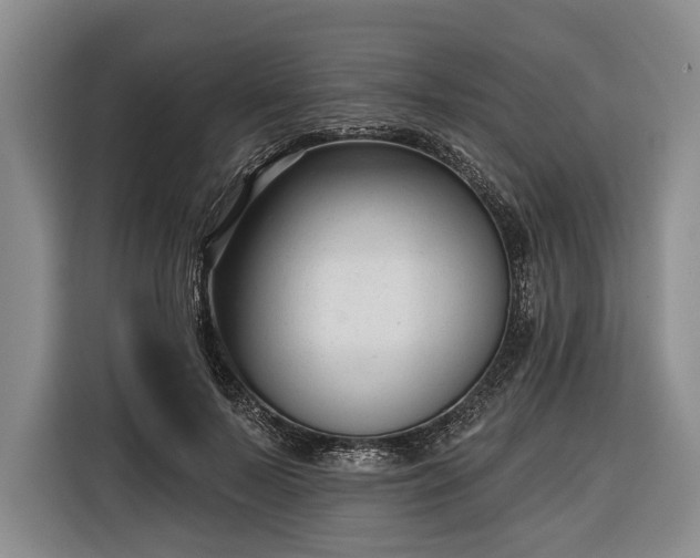 X0000116340695200912091110