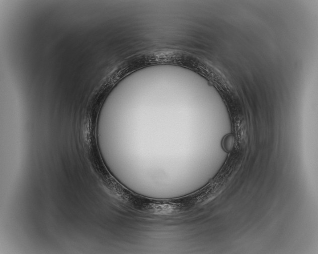 X0000116340698200912091110