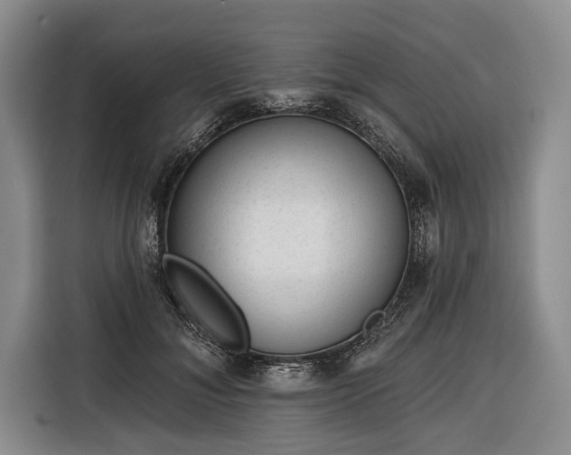 X0000116340700200912091110