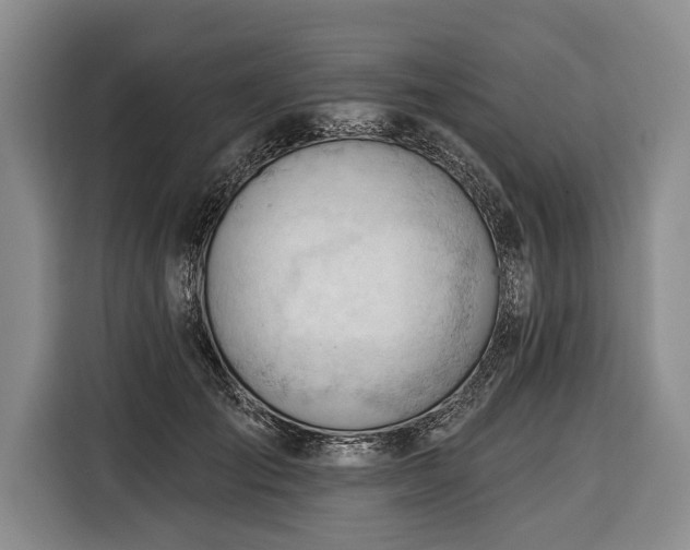 X0000116340701200912091110