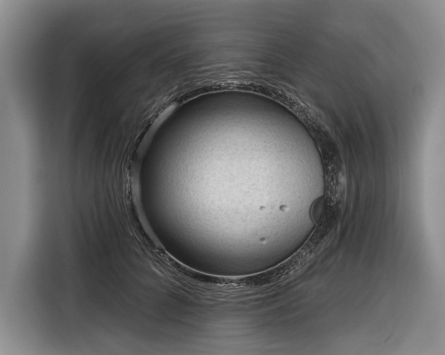 X0000116340704200912091110