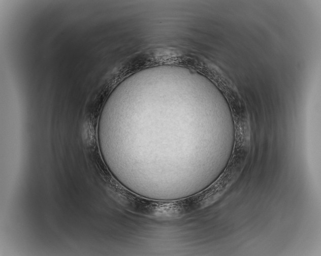 X0000116340705200912091110