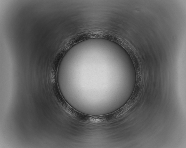 X0000116340706200912091110