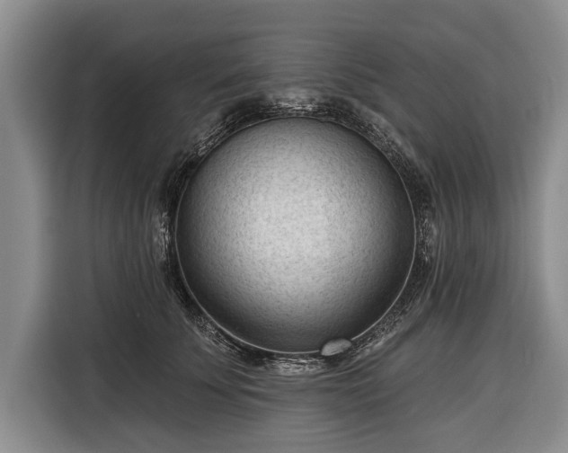 X0000116340707200912091110