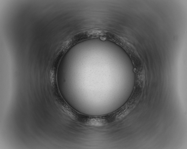 X0000116340708200912091110