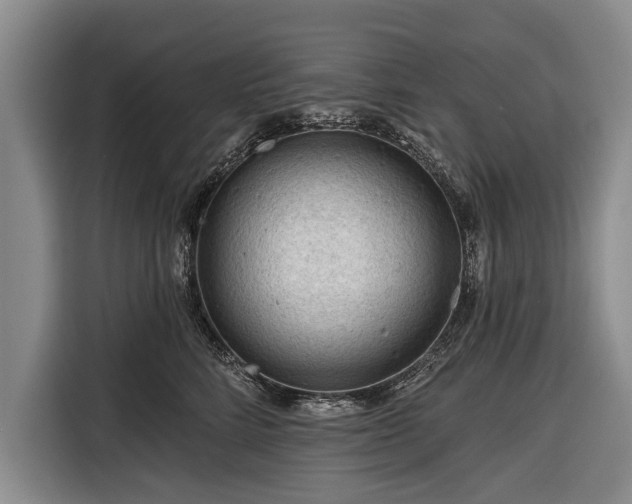 X0000116340712200912091110