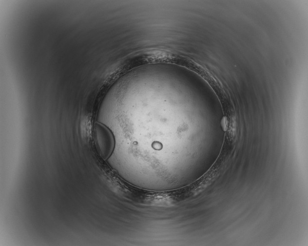 X0000116340715200912091110