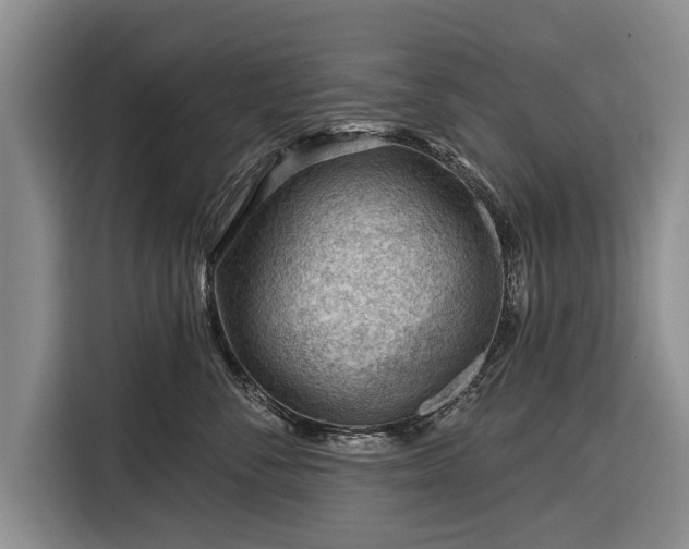 X0000116340716200912091109