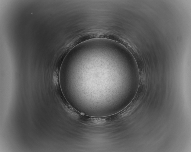 X0000116340719200912091109