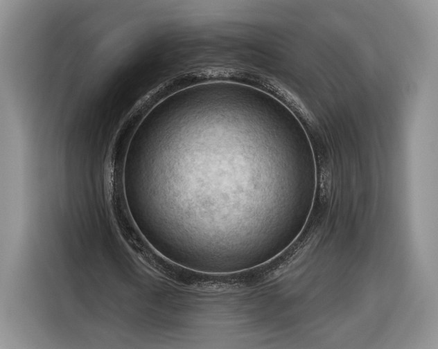 X0000116340722200912091109