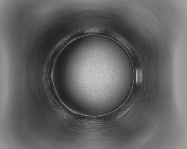 X0000116340723200912091109