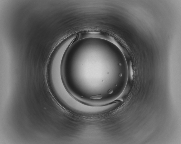 X0000116340725200912091109