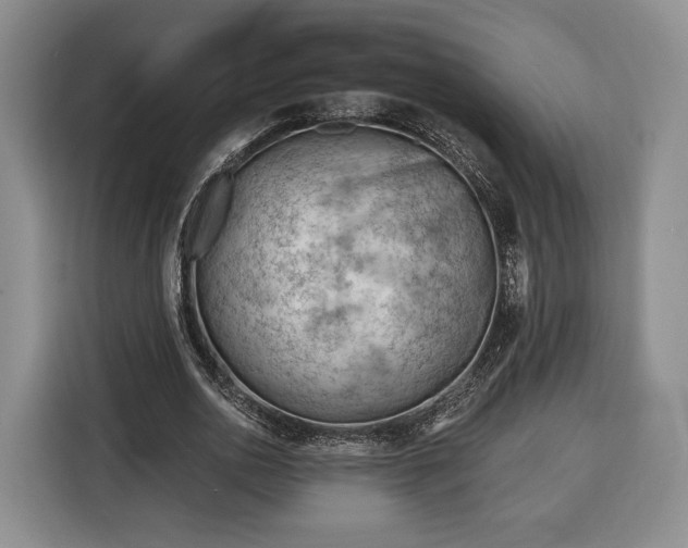 X0000116340726200912091109