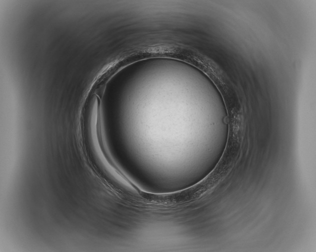 X0000116340727200912091109