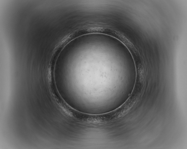 X0000116340729200912091109