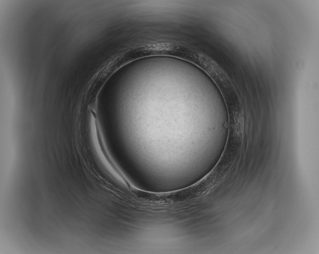 X0000116340731200912091109