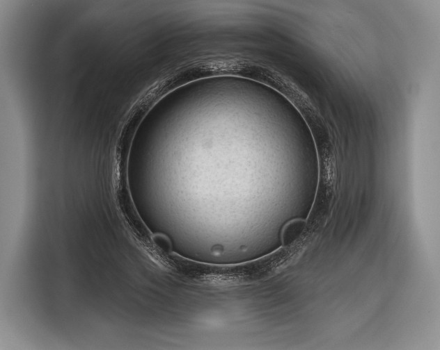 X0000116340733200912091109