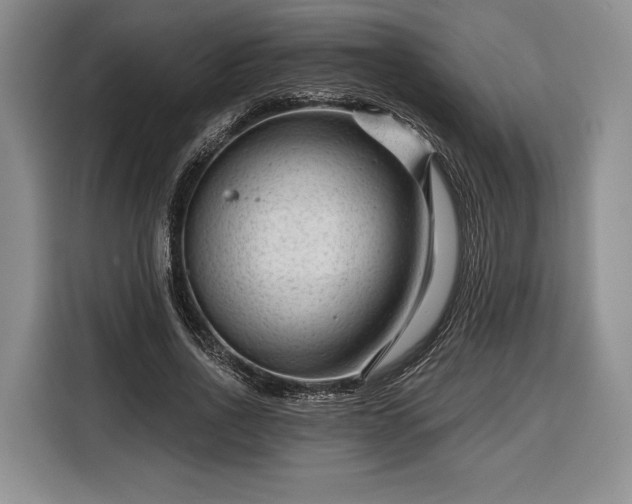 X0000116340734200912091109