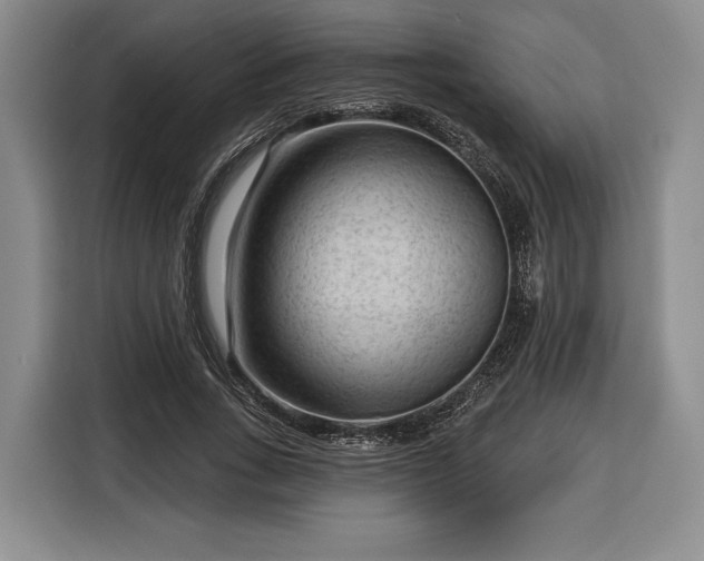 X0000116340735200912091109