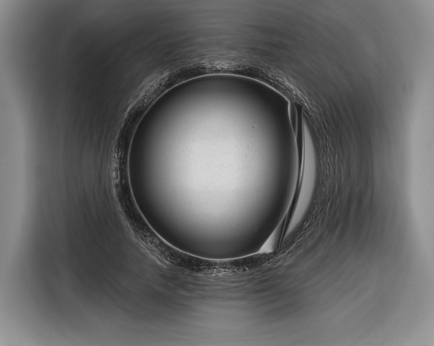 X0000116340738200912091109