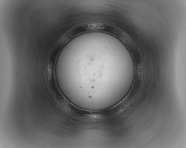 X0000116340741200912091109