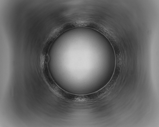 X0000116340742200912091109