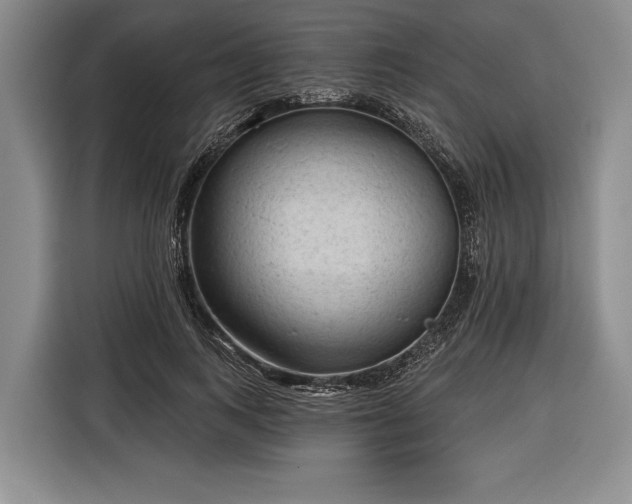 X0000116340743200912091109