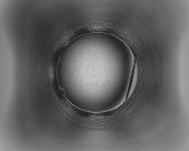 X0000116340746200912091109