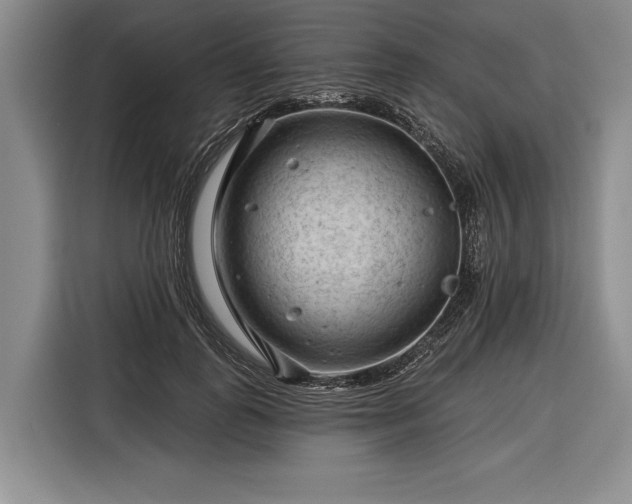 X0000116340747200912091109