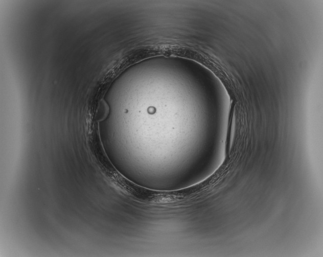 X0000116340750200912091109