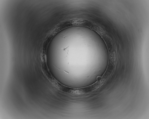 X0000116340755200912091109