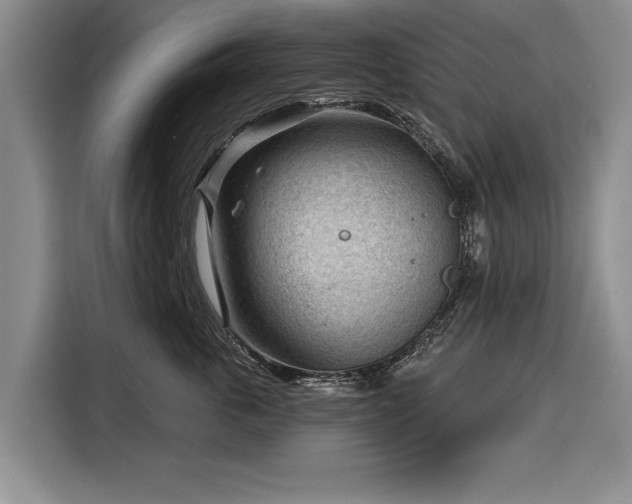 X0000116340763200912091109