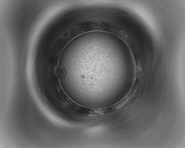 X0000116340765200912091109