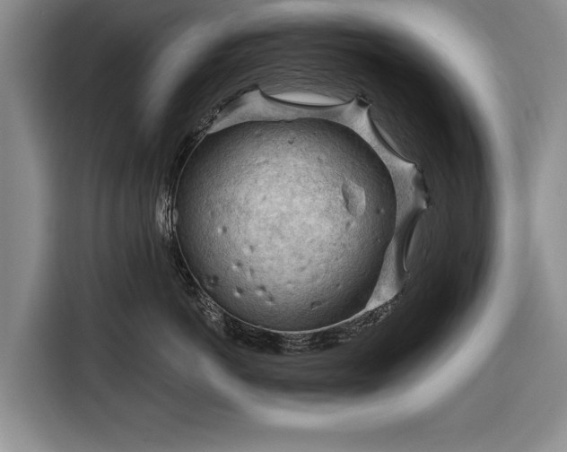 X0000116340766200912091109