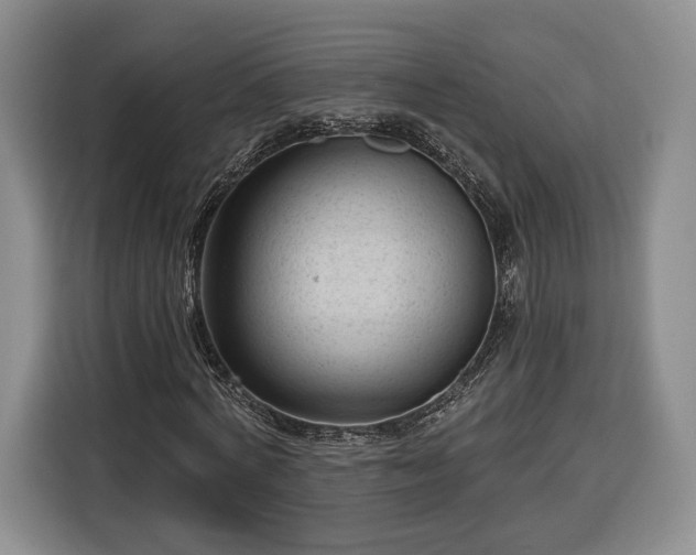 X0000116340772200912091109