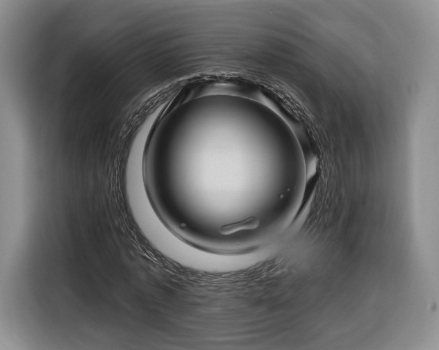 X0000116340773200912091109