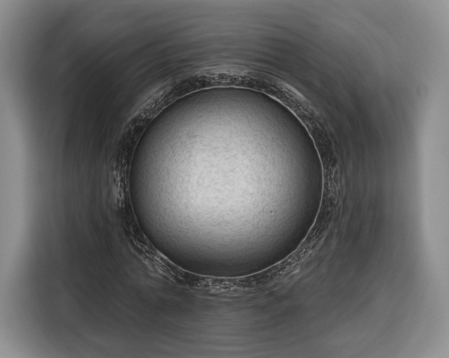 X0000116340774200912091109