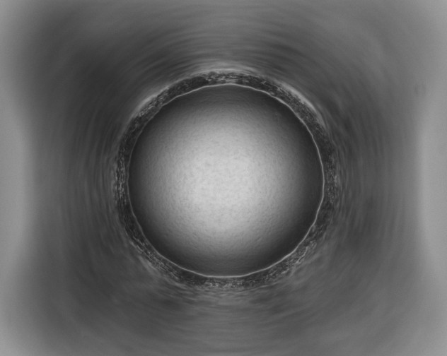 X0000116340775200912091109