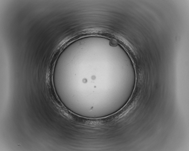 X0000116340778200912091109