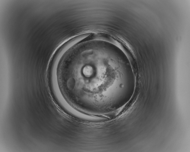 X0000116340779200912091109