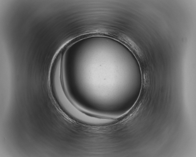 X0000116340780200912091109