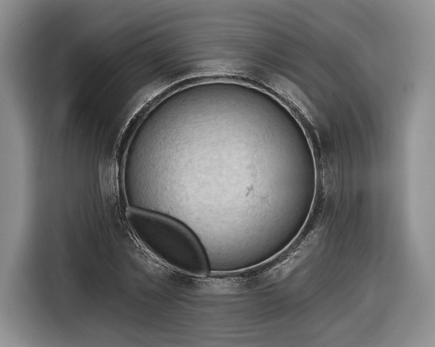 X0000116340781200912091109