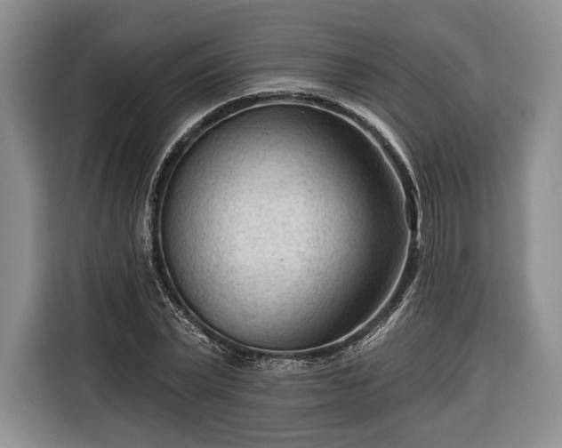 X0000116340783200912091109