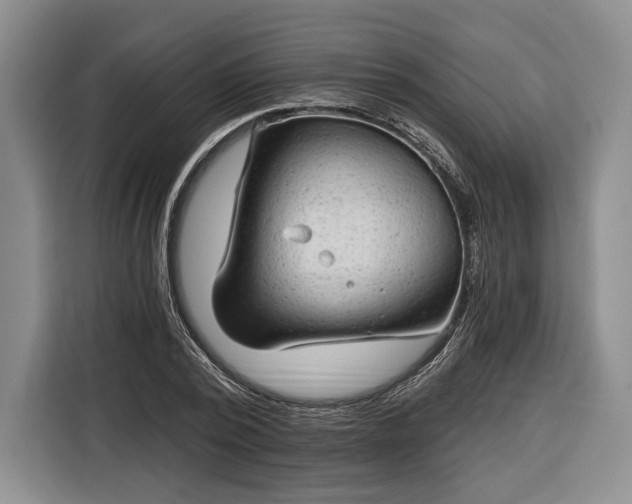 X0000116340784200912091109