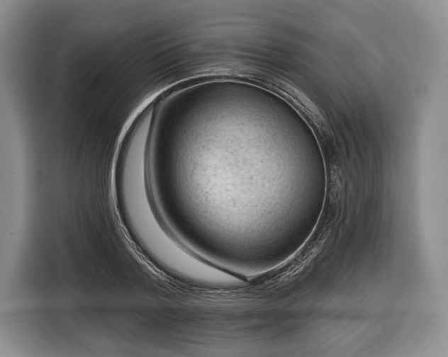 X0000116340788200912091109