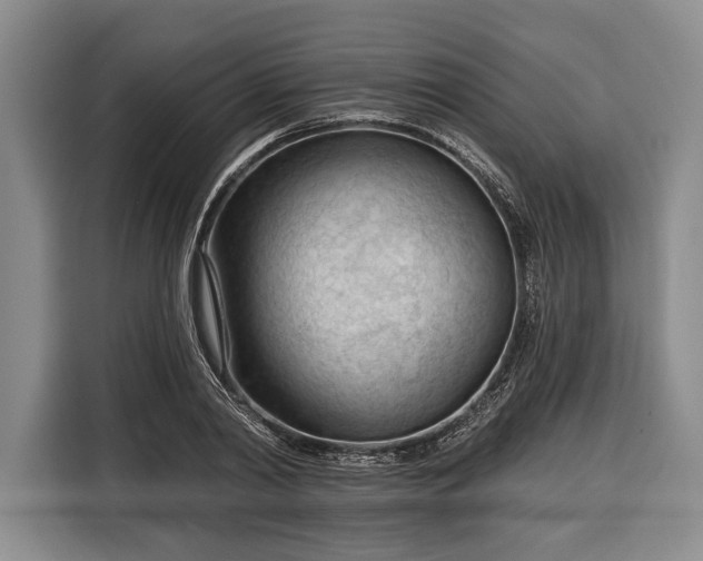 X0000116340790200912091109